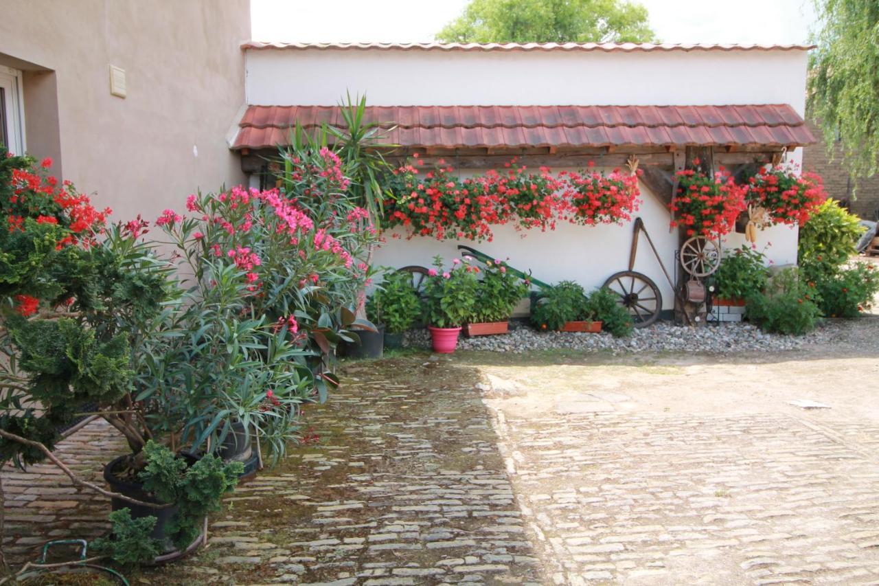 La Chambre Aux Hirondelles Ittenheim Luaran gambar
